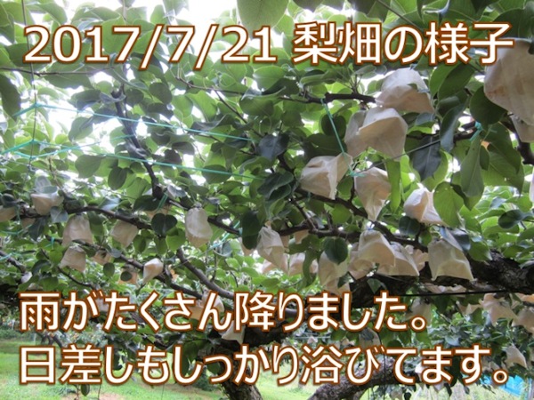 2017/7/21 J~܂B藁тĂ܂B